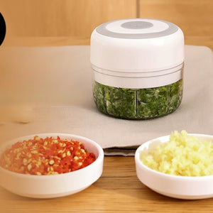 Electric Mini Garlic Chopper, Food Slicer and Chopper